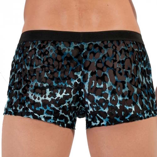 HOM Leopard schwarz/blau sport trunk HOM Leopard schwarz/blau sport trunk