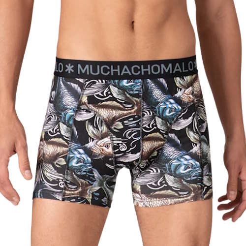 Muchachomalo Golden Special mehrfarbig boxershort Muchachomalo Golden Special mehrfarbig boxershort