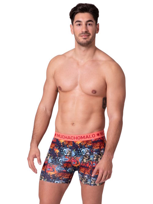 Muchachomalo Vogelkatze mehrfarbig/print baumwoll-boxershort Muchachomalo Vogelkatze mehrfarbig/print baumwoll-boxershort