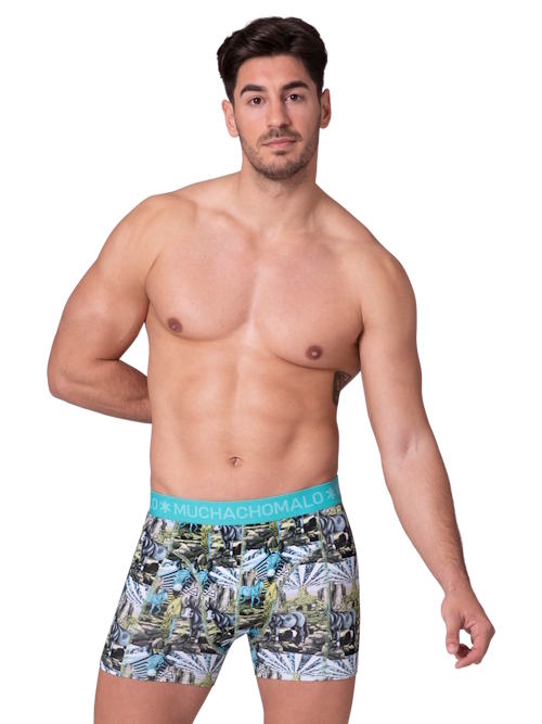Muchachomalo Captain Donkey mehrfarbig/print baumwoll-boxershort Muchachomalo Captain Donkey mehrfarbig/print baumwoll-boxershort