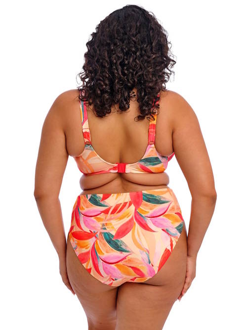 Elomi Schwimmen Sancho Beach orange/pink unwattierter bikini bh Elomi Schwimmen Sancho Beach orange/pink unwattierter bikini bh