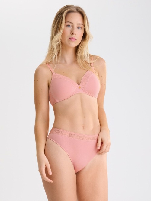 Lisca  pink slip Lisca  pink slip